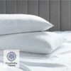 Luxury Cotton Micro Stripe 300 Thread Count Housewife Pillowcase - Pair
