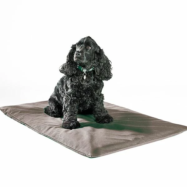 Five-Piece Dog Hospitality Set 2 Five-Piece Dog Hospitality Set - Image 2