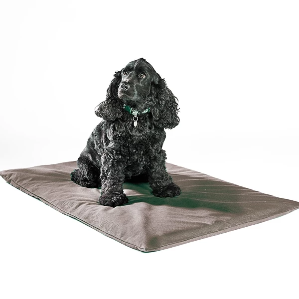 Spare Cover For Odour-Control Dog Mat 3 Spare Cover For Odour-Control Dog Mat - Image 3